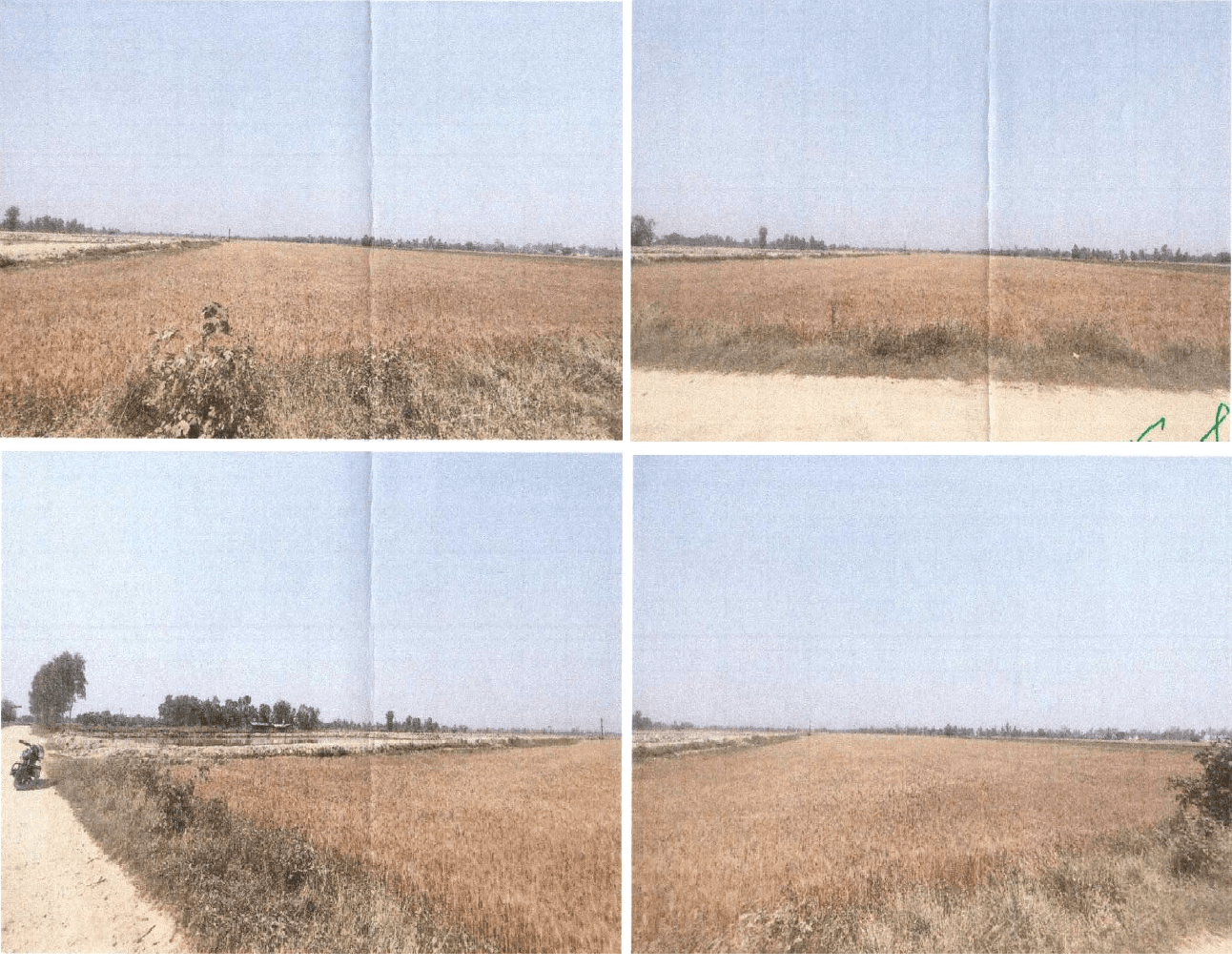 Plot in Bazpur