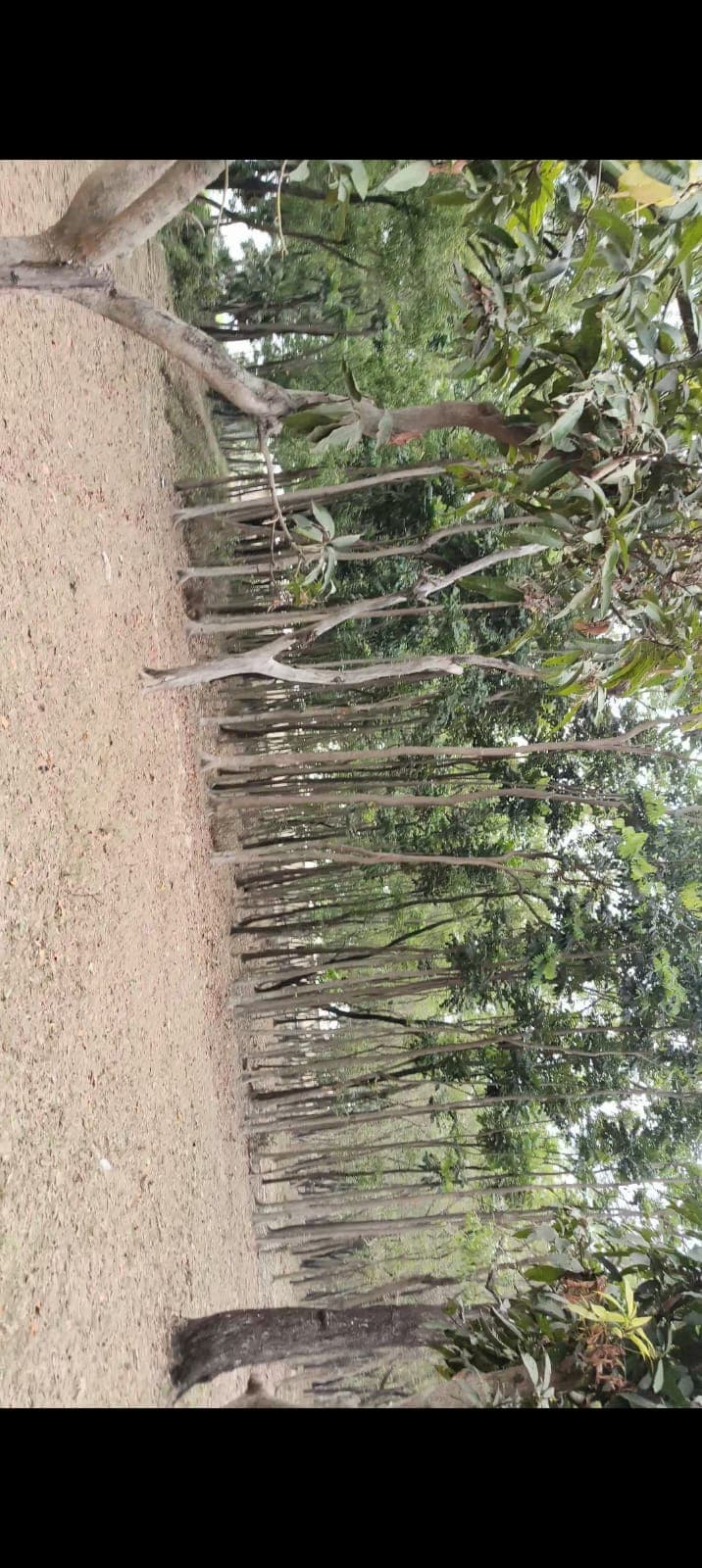 28.55-acre land, buildings & godown lot in Arambag