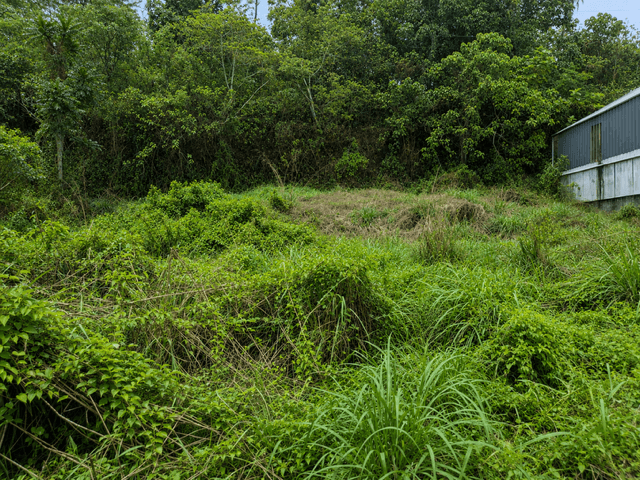 Vacant plot in Eramalloor